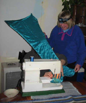 sfw2009dframesew.jpg